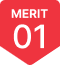 MERIT 01